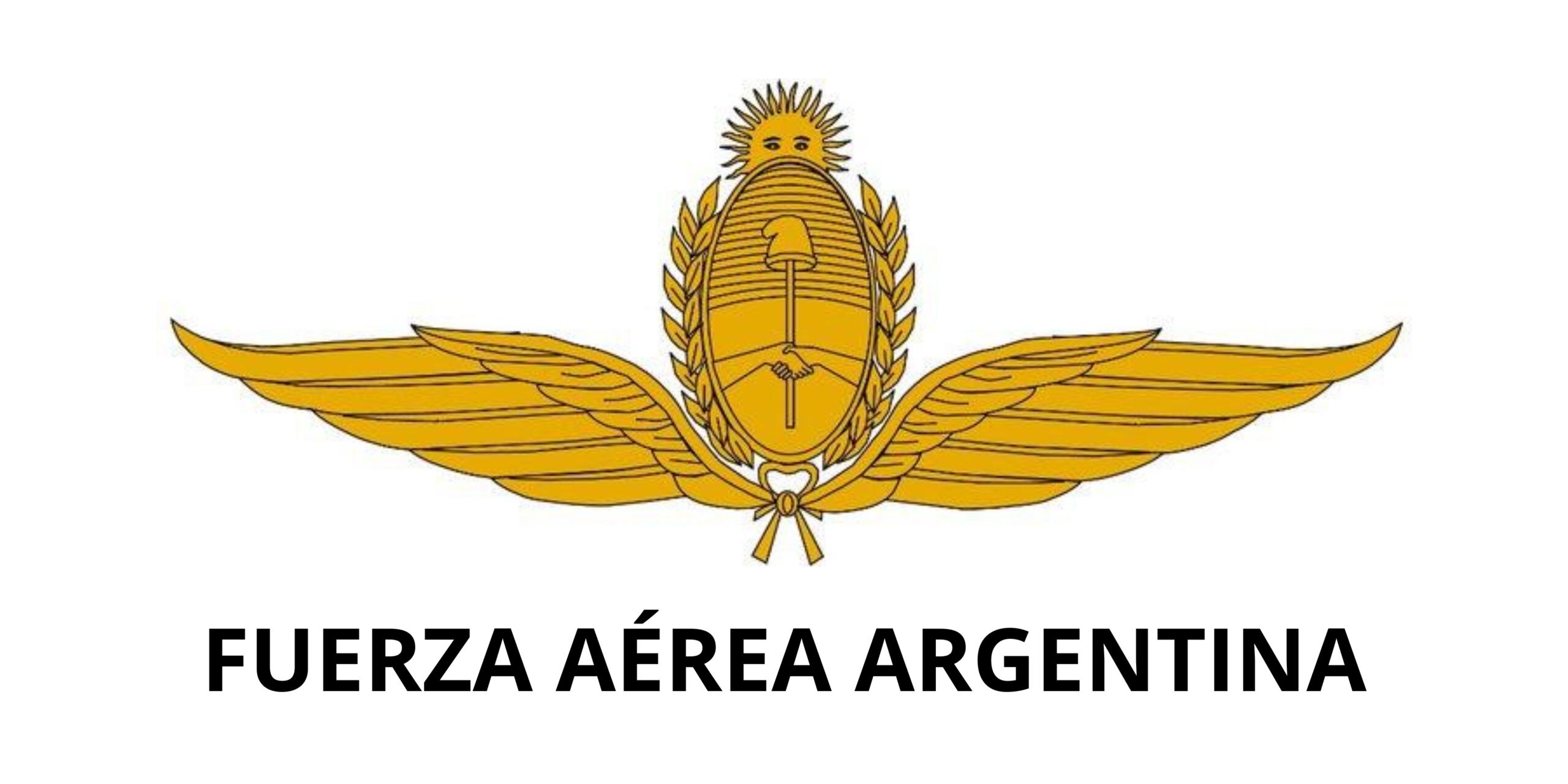 FUERZA AEREA